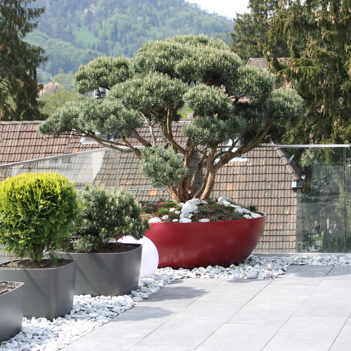 Bonsai_Kamp1_rot_1200x1200 Bonsai Eternit Pflanzgefässe rot